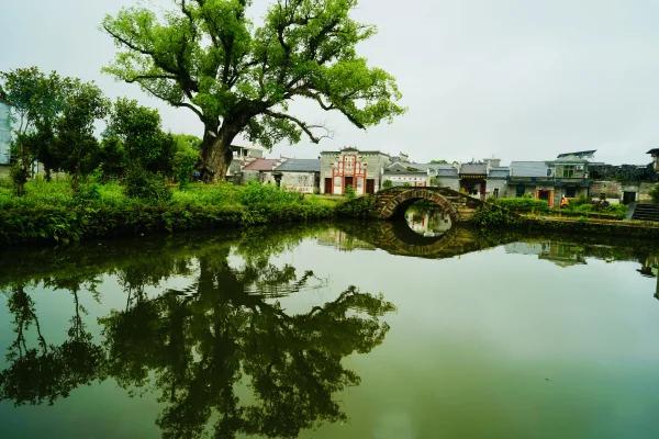 池塘倒影